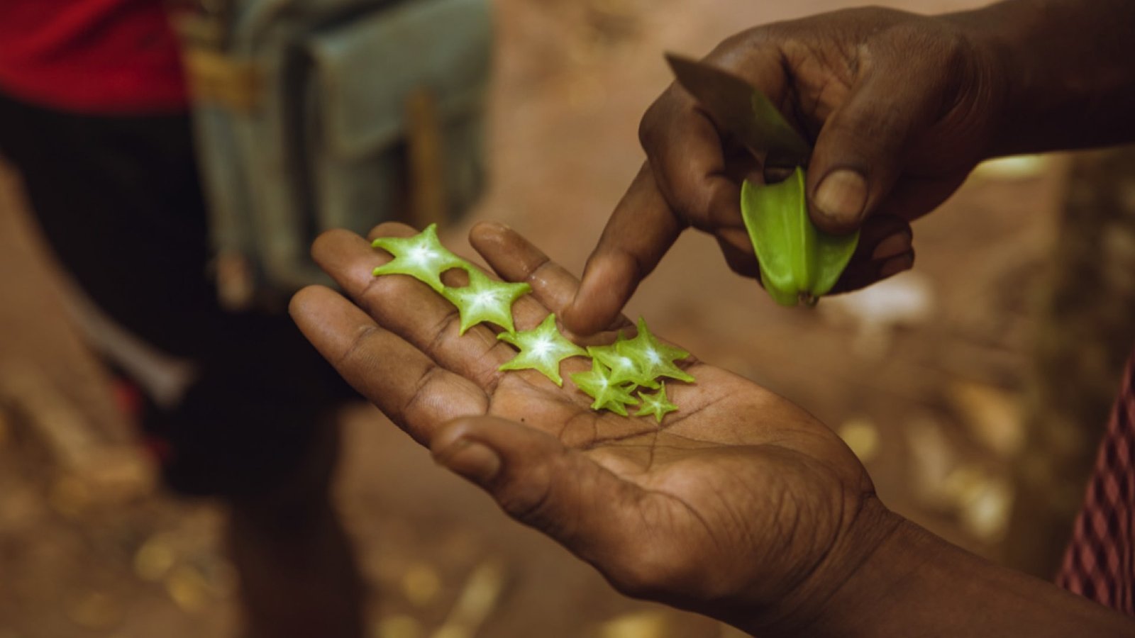 Zanzibar Spice Tour