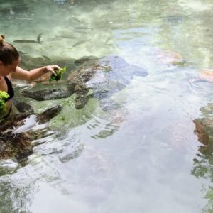 zanzibar baraka aqurium